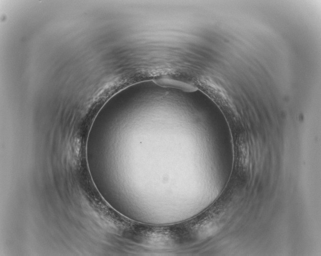 X0000087060308200704251036