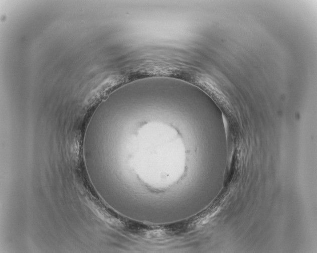 X0000087060309200704251036