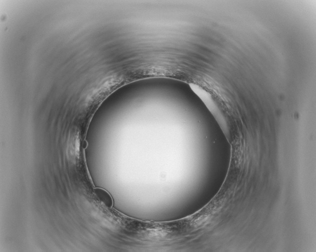 X0000087060310200704251036