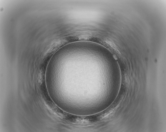 X0000087060311200704251036