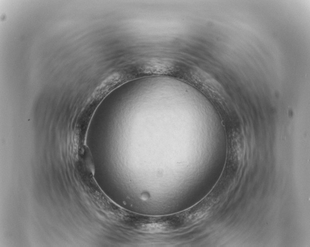 X0000087060312200704251036