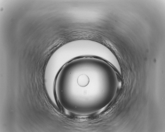 X0000087060313200704251036