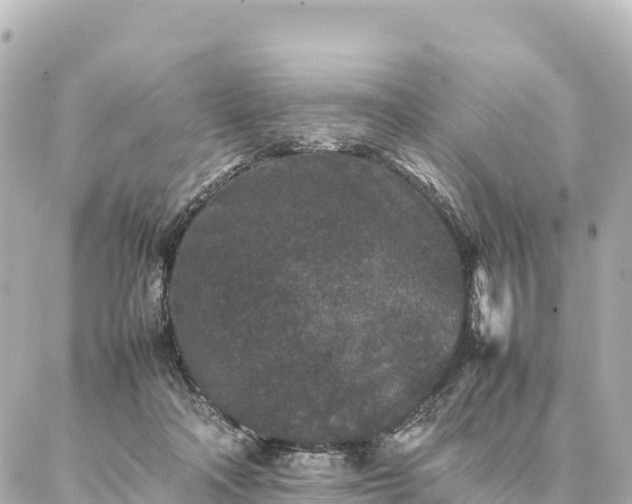 X0000087060314200704251036