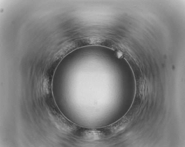 X0000087060316200704251036