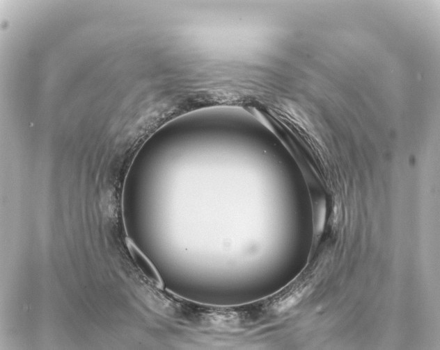 X0000087060317200704251036