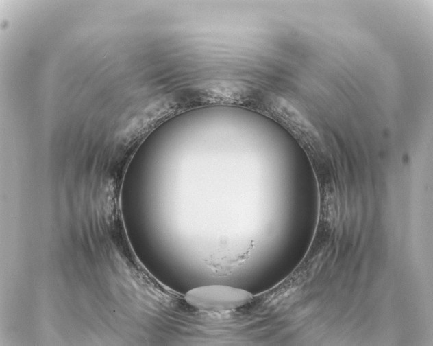 X0000087060318200704251036