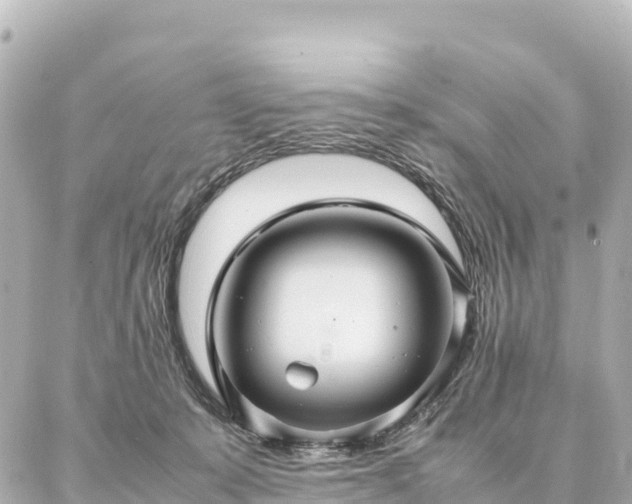 X0000087060319200704251036