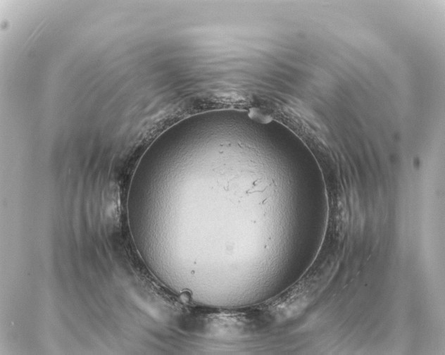 X0000087060320200704251036