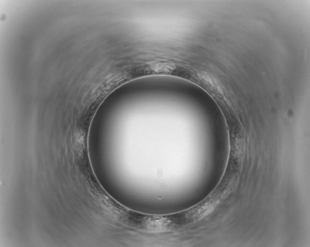 X0000087060321200704251035