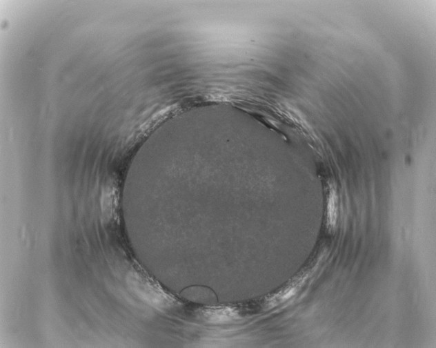 X0000087060322200704251035