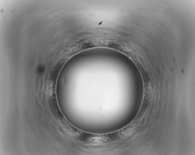 X0000087060323200704251035