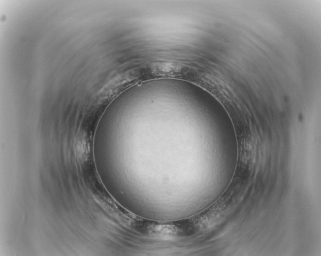 X0000087060324200704251035