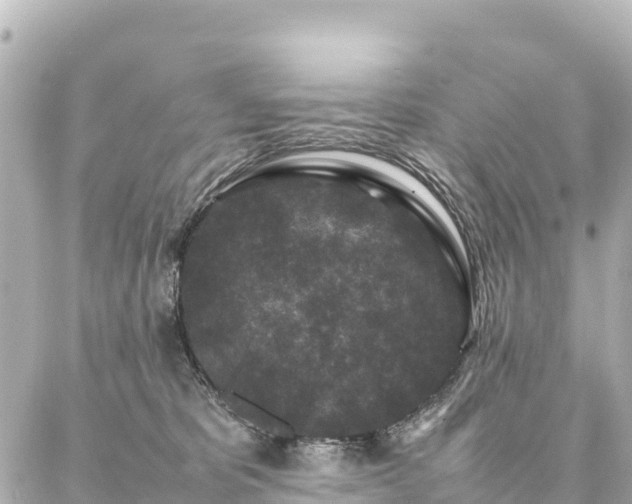 X0000087060325200704251035