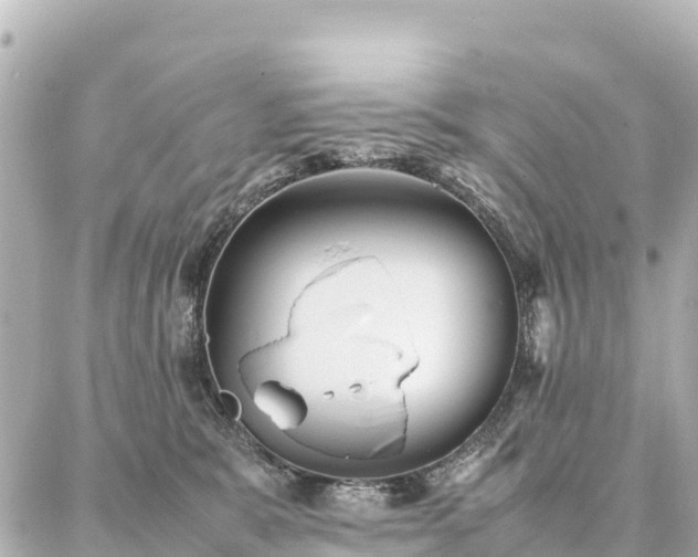 X0000087060327200704251035