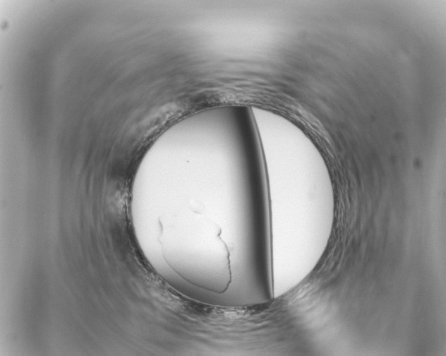 X0000087060329200704251035