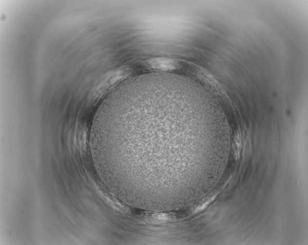 X0000087060330200704251035