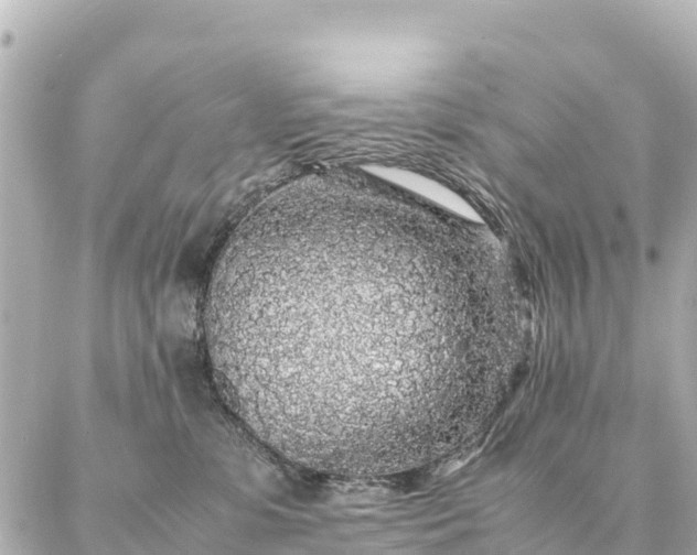 X0000087060331200704251035