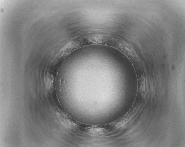 X0000087060332200704251035