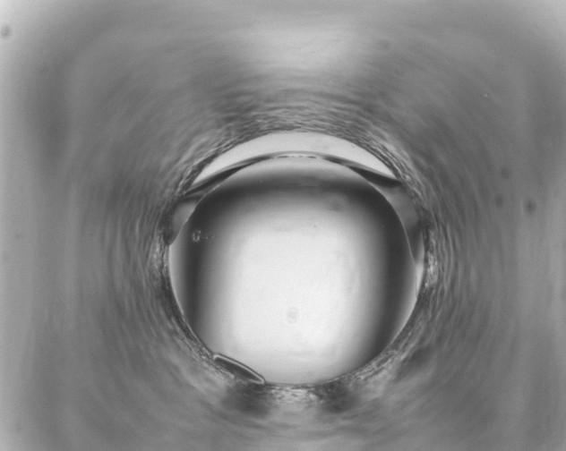 X0000087060333200704251035