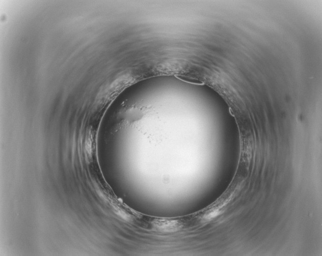 X0000087060334200704251035