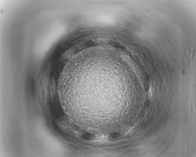 X0000087060335200704251035