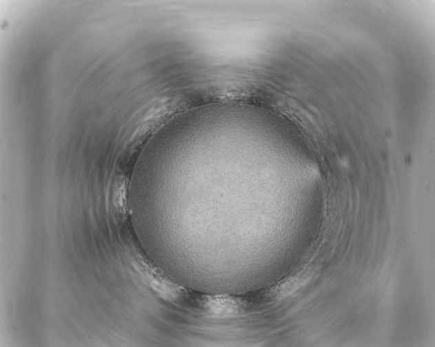 X0000087060336200704251035