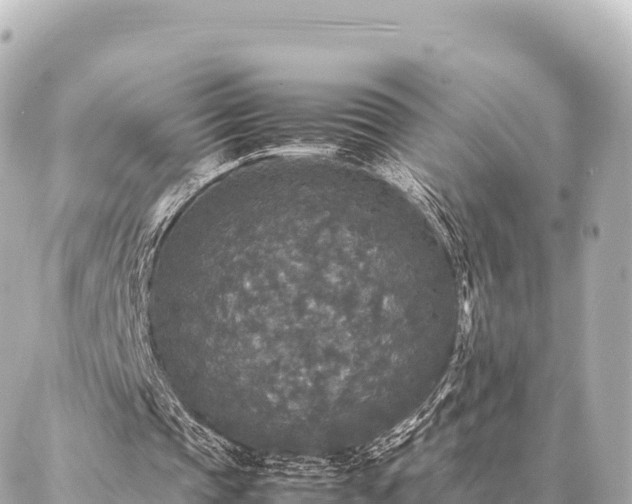 X0000087060337200704251034