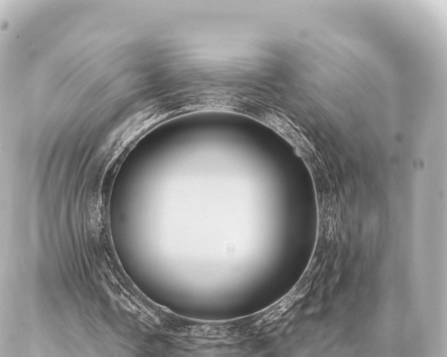 X0000087060338200704251034