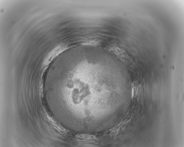 X0000087060339200704251034