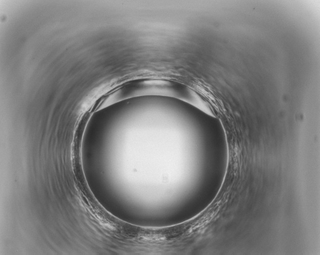 X0000087060340200704251035