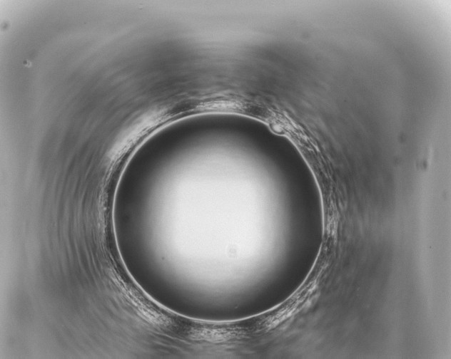 X0000087060341200704251035