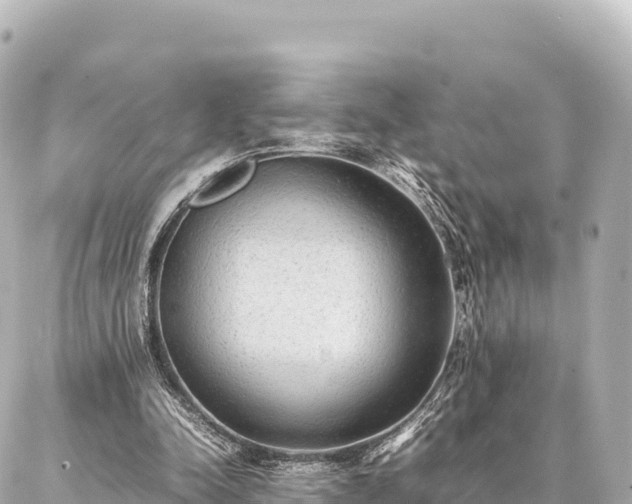 X0000087060342200704251035