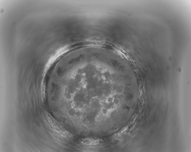 X0000087060343200704251035