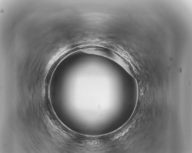 X0000087060344200704251035