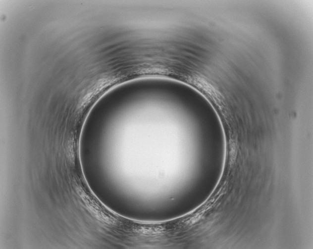 X0000087060345200704251035