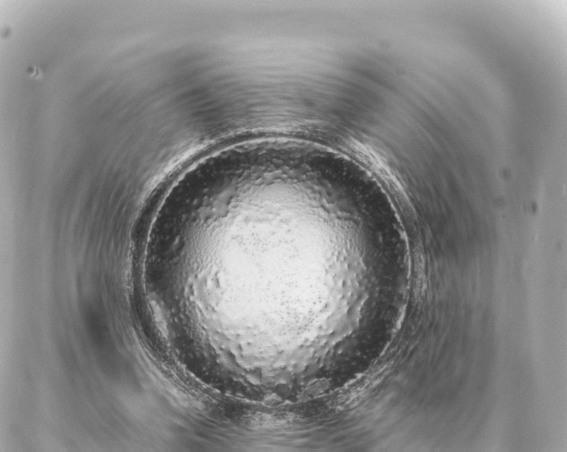 X0000087060346200704251035