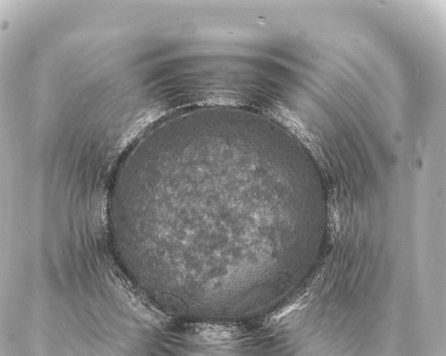 X0000087060347200704251035