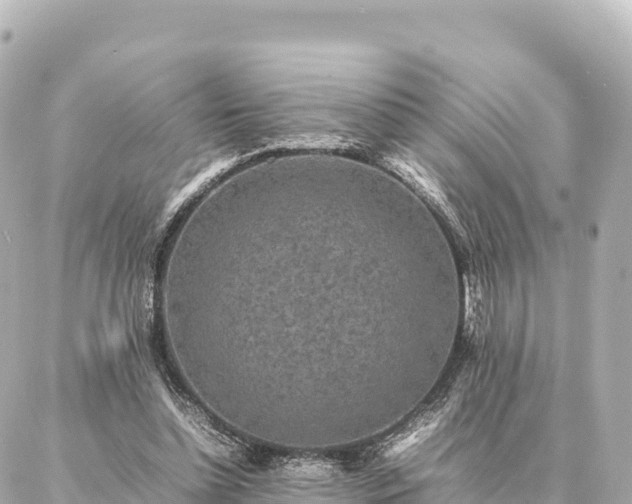 X0000087060348200704251035