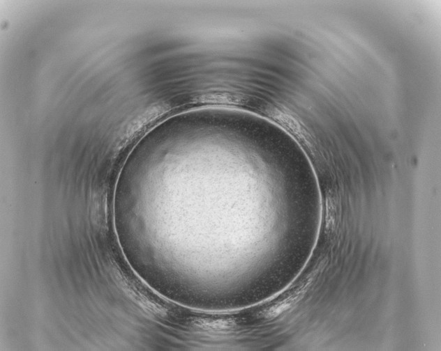 X0000087060349200704251035