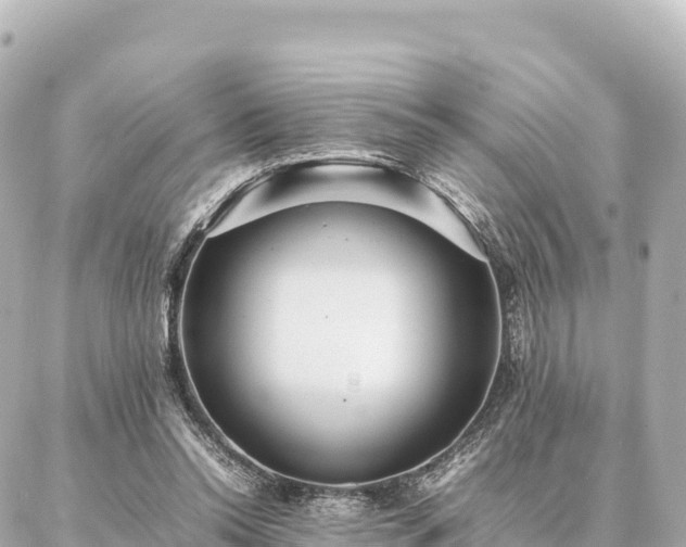 X0000087060350200704251035