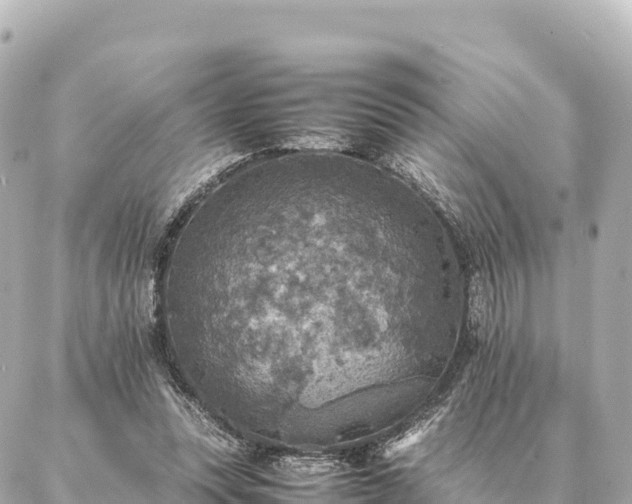 X0000087060351200704251035