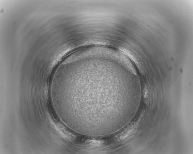 X0000087060352200704251035