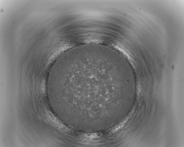 X0000087060353200704251035