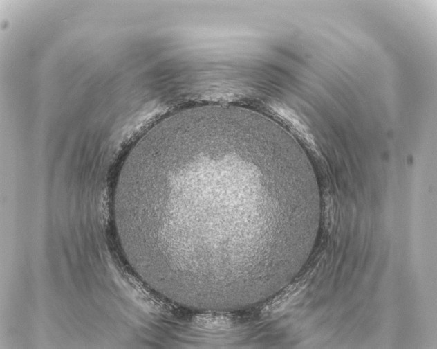 X0000087060354200704251035