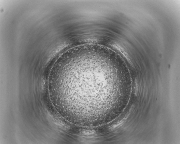 X0000087060355200704251035