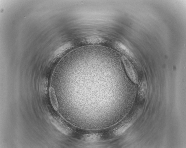 X0000087060356200704251035