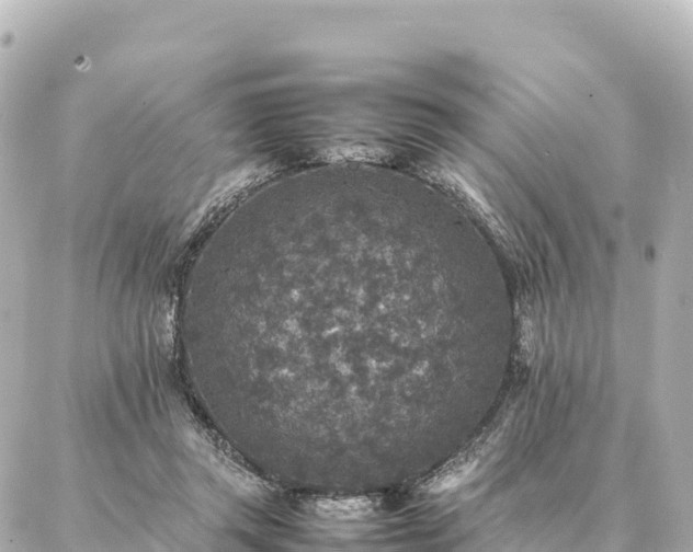 X0000087060357200704251035