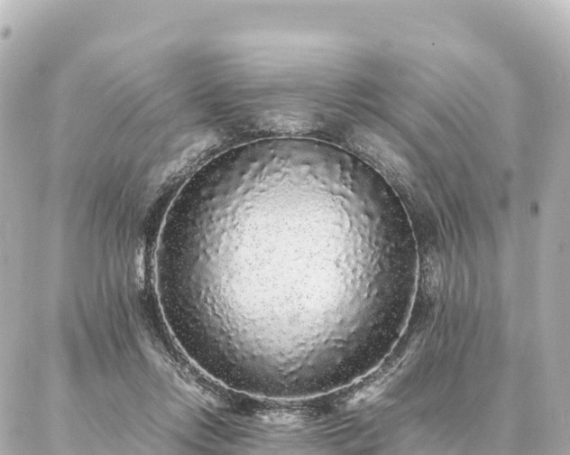 X0000087060358200704251035