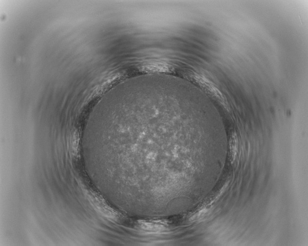 X0000087060359200704251035