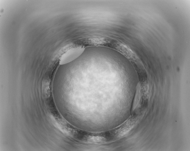 X0000087060360200704251035